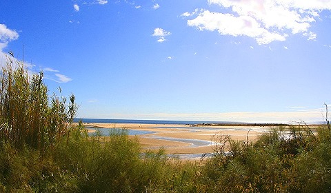 D�nen in Quinta da Ria
