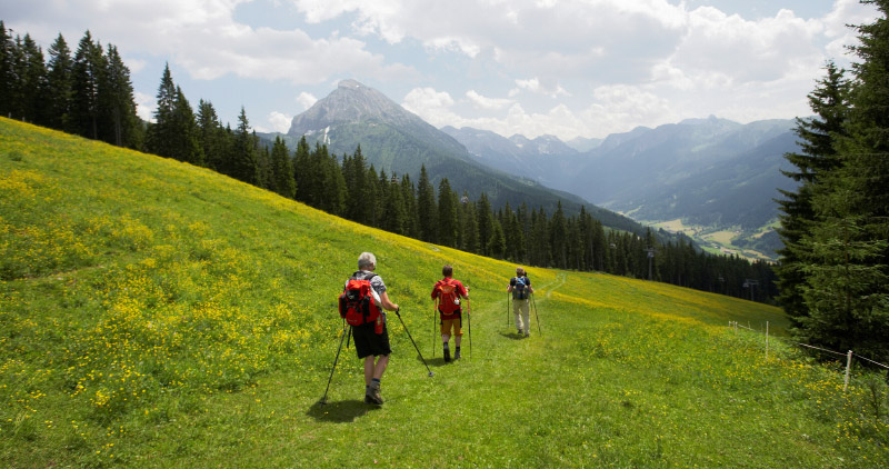 Wandern im Sommer